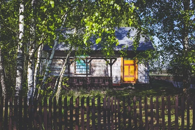 Drewnochrony – najlepszy sposób na ochronę Twojego drewna