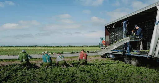 Dlaczego kupowanie używanych maszyn jest dobre dla środowiska